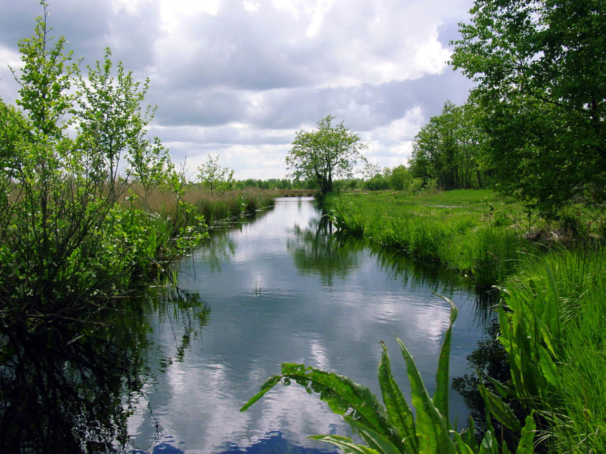 Pluk van de Pettefletprijs Overijssel naar Berrie Klein Swormink