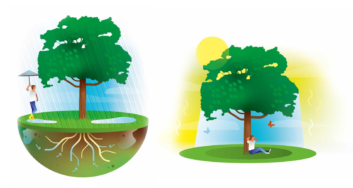 waarom Plan Boom? klimaatadaptatie en hittebestrijding
