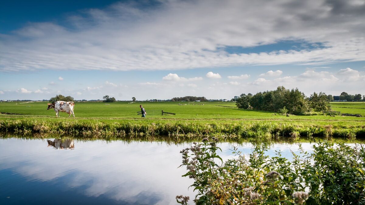Natuur- en milieuorganisaties gematigd positief over advies Remkes