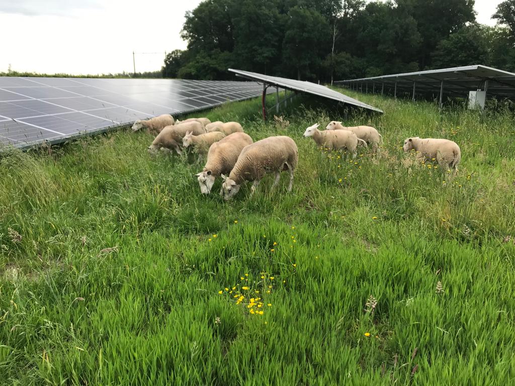 Onze reactie op de Klimaat- en Energieverkenning