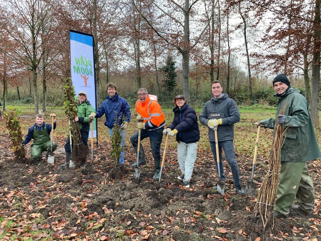 Oproep aan gemeenten: plant bomen om klimaatdoelen te realiseren